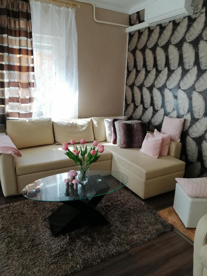 Erna Apartment *
